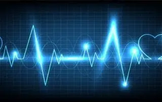 ECGs-Scan