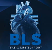 BLS Certification